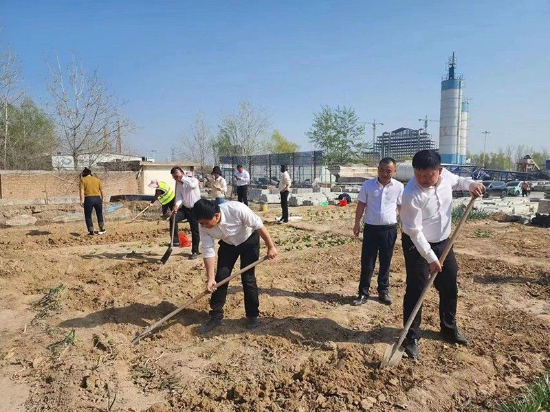 “春播添新綠，不負好春光”-城建新型材料公司黨支部開展主體黨日活動